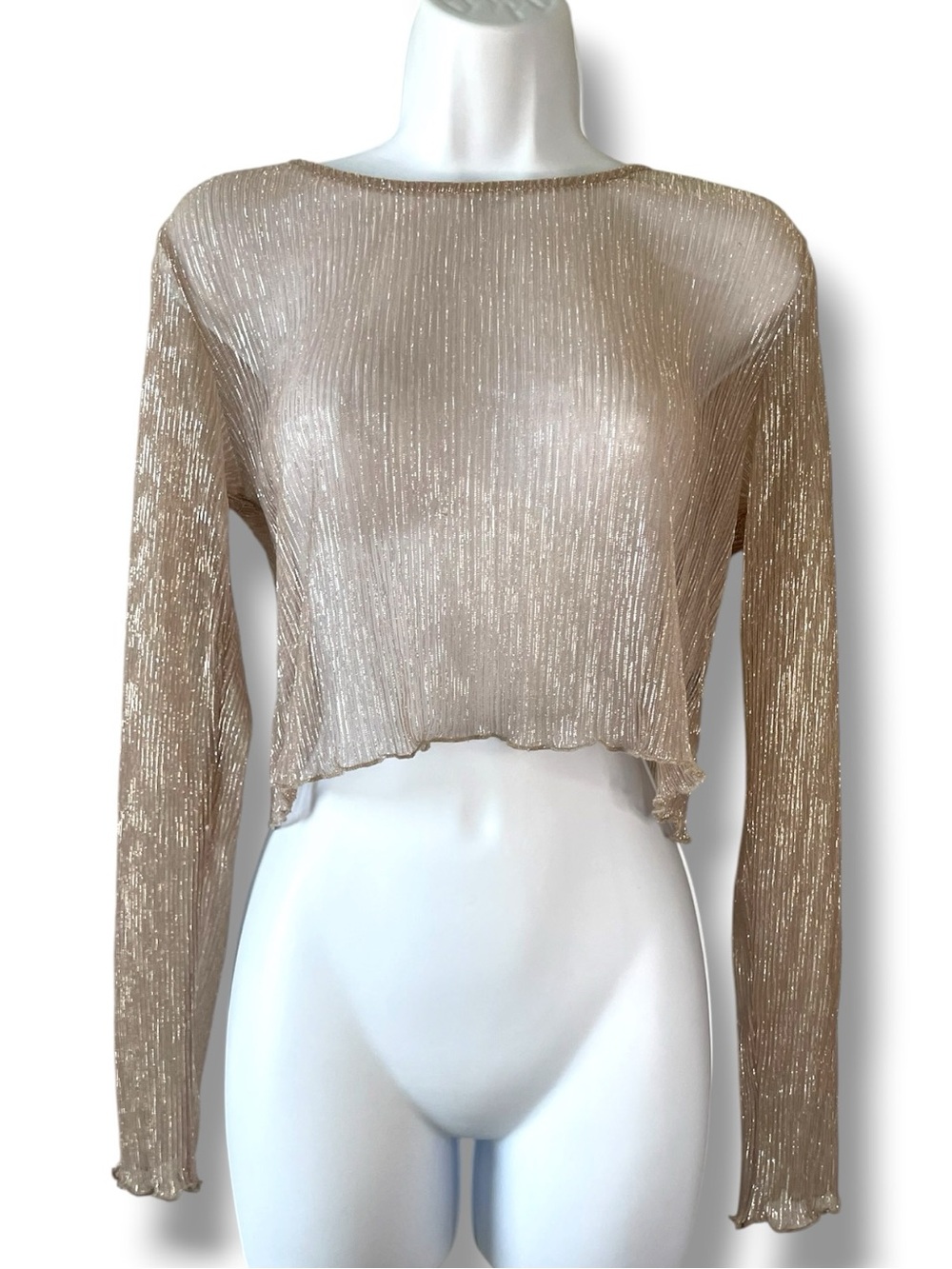 Blashe Metallic Pleated Crop Top Sheer Long Sleeve Y2K Party festival Clubwear